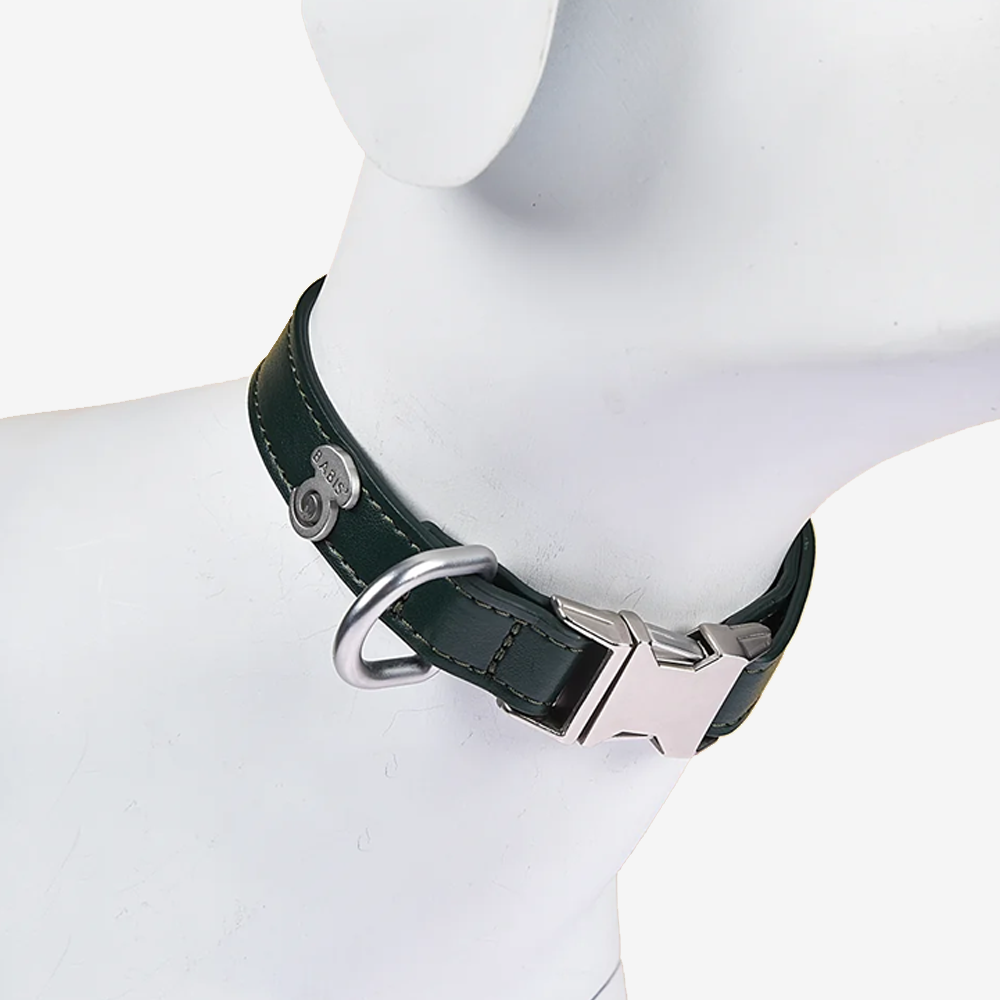 Vibrant collection of dog collars available in our online pet shop. Premium designer dog collar, now in stock at our online store. Vegan leather collar.