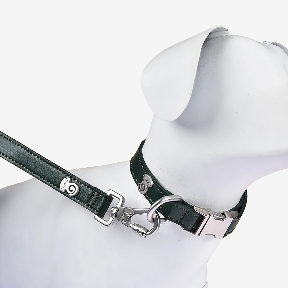 Vibrant collection of dog collars available in our online pet shop. Premium designer dog collar, now in stock at our online store. Vegan leather collar.