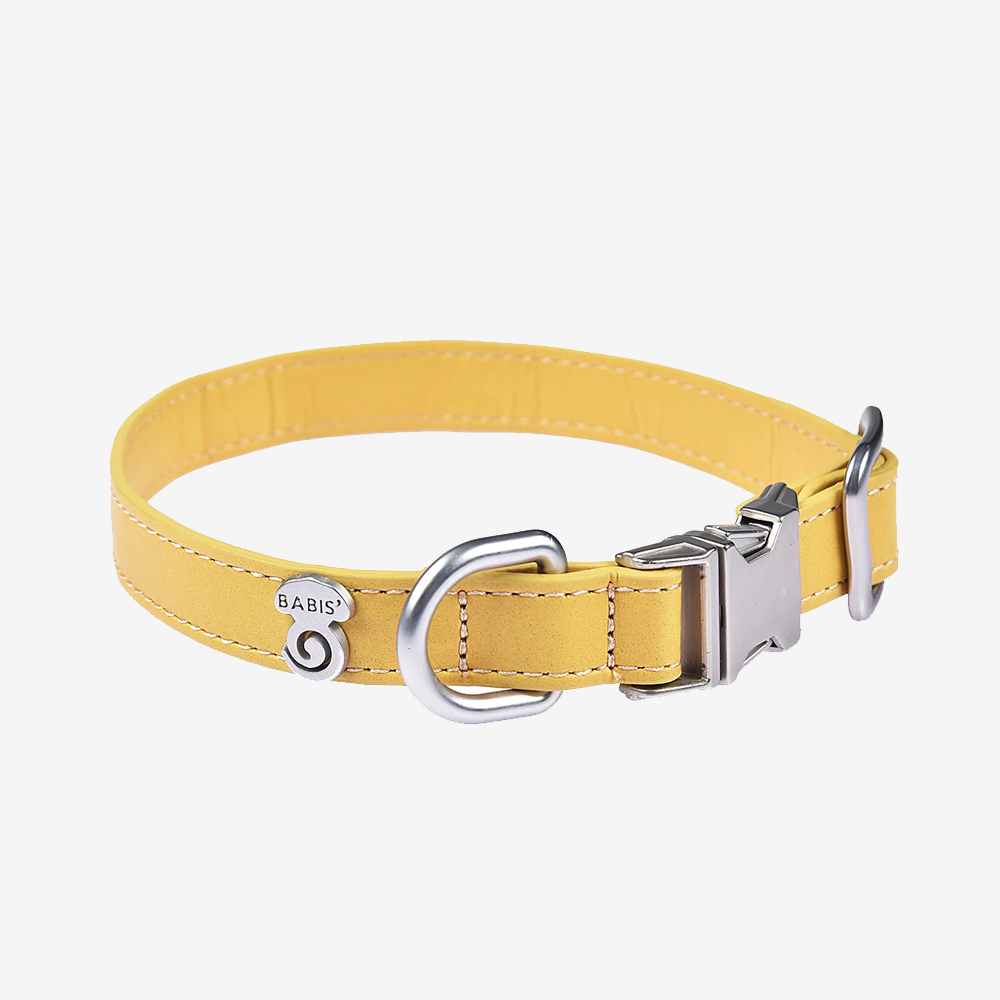 Vibrant collection of dog collars available in our online pet shop. Premium designer dog collar, now in stock at our online store. Puppy collar. Dog Collar. Vegan leather collar