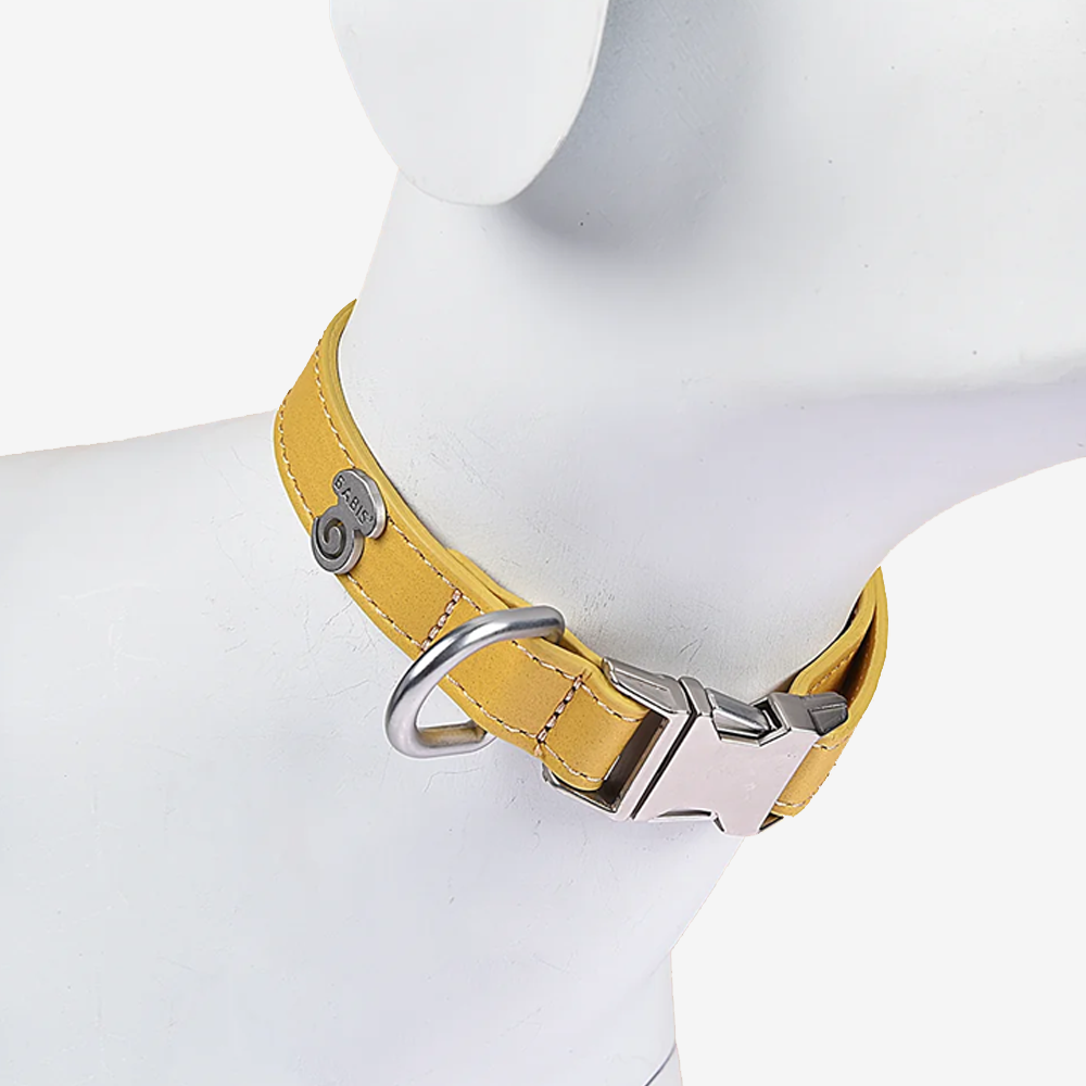 Vibrant collection of dog collars available in our online pet shop. Premium designer dog collar, now in stock at our online store. Puppy collar. Dog Collar. Vegan leather collar