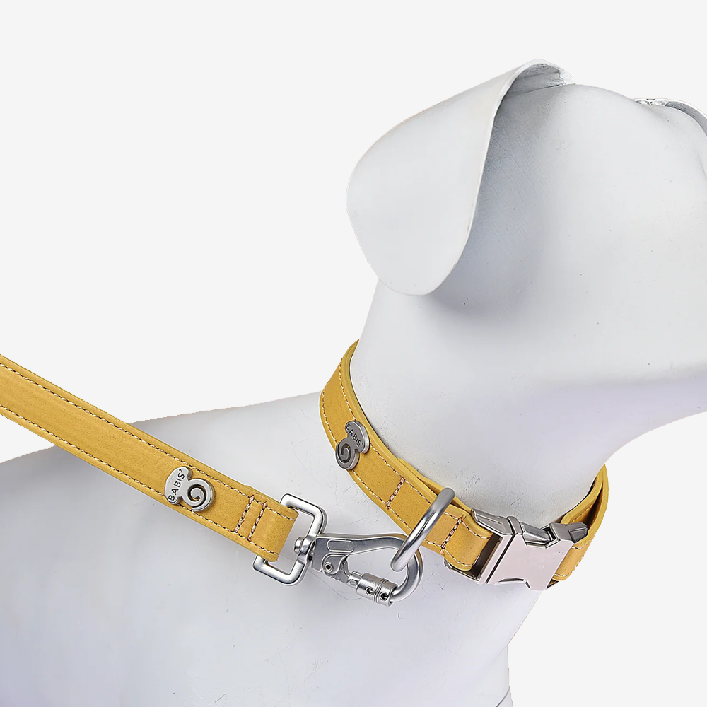 Vibrant collection of dog collars available in our online pet shop. Premium designer dog collar, now in stock at our online store. Puppy collar. Dog Collar. Vegan leather collar