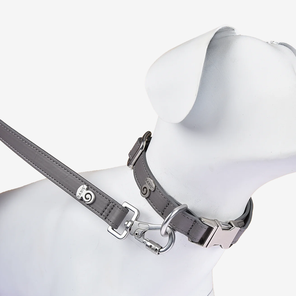 Vibrant collection of dog collars available in our online pet shop. Premium designer dog collar, now in stock at our online store. Puppy Collar. vegan Leather collar.