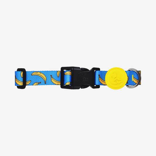 Vibrant collection of dog collars available in our online pet shop. Premium designer dog collar, now in stock at our online store. Puppy Collar.