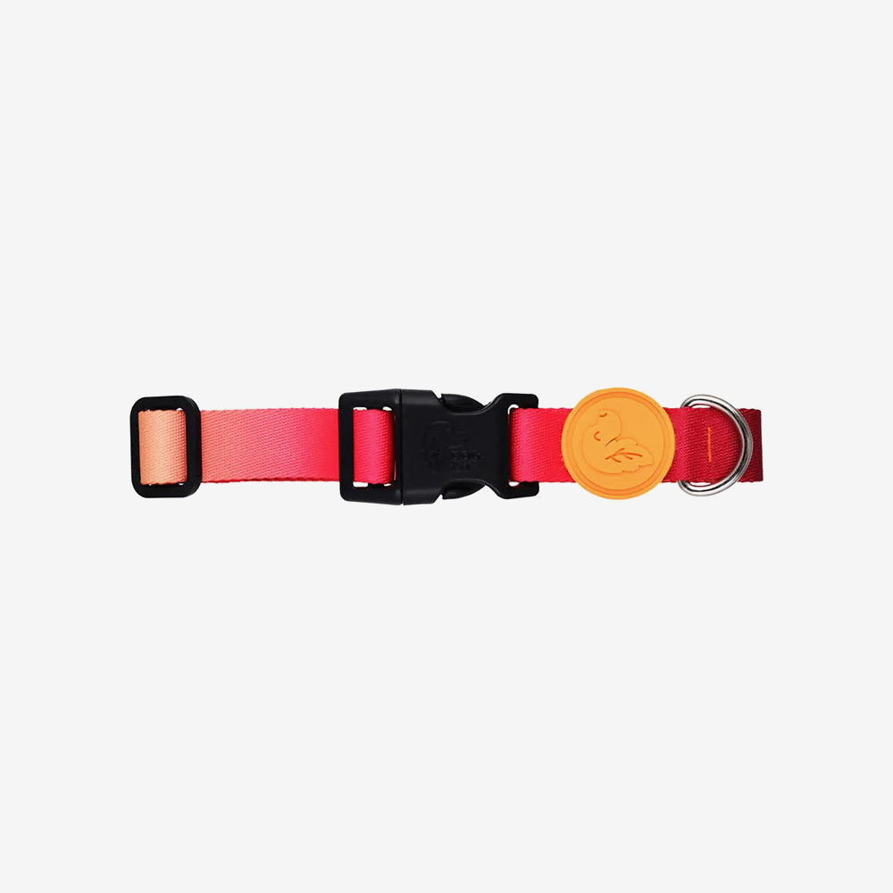 Vibrant collection of dog collars available in our online pet shop. Premium designer dog collar, now in stock at our online store. Puppy Collar.