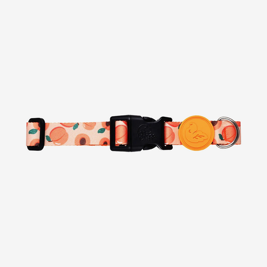 Vibrant collection of dog collars available in our online pet shop. Premium designer dog collar, now in stock at our online store. Puppy Collar