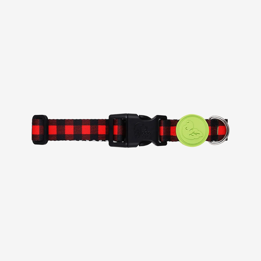 Vibrant collection of dog collars available in our online pet shop. Premium designer dog collar, now in stock at our online store. Puppy Collar.
