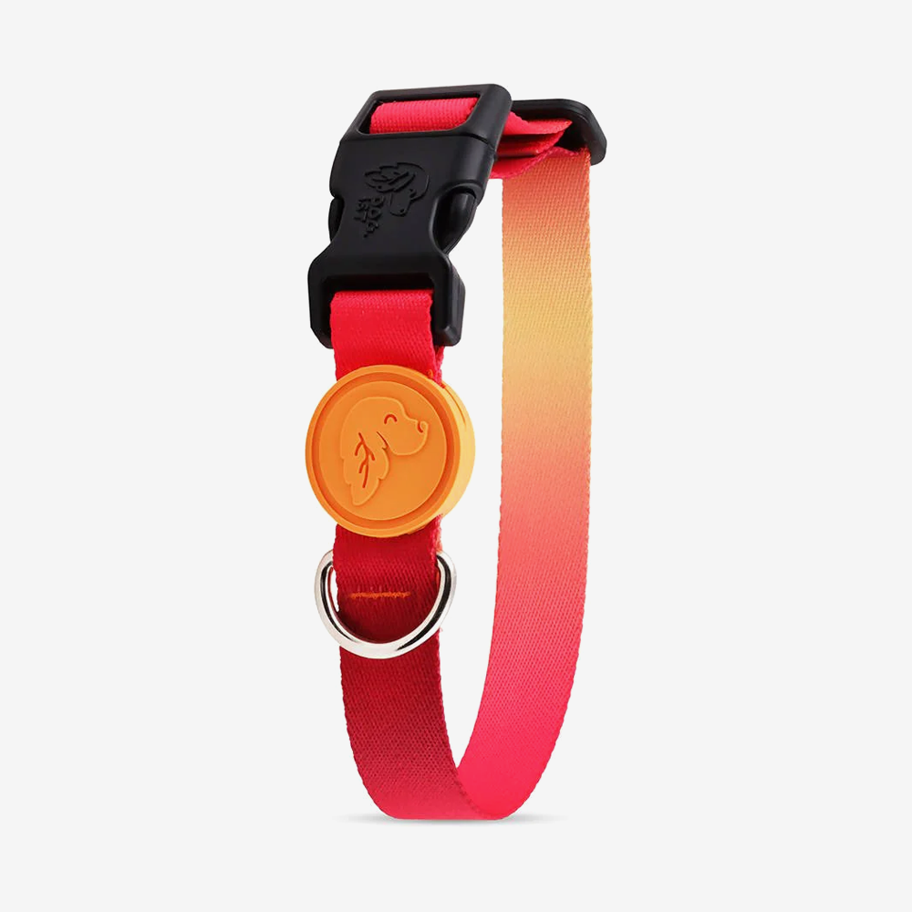 Vibrant collection of dog collars available in our online pet shop. Premium designer dog collar, now in stock at our online store. Puppy Collar.