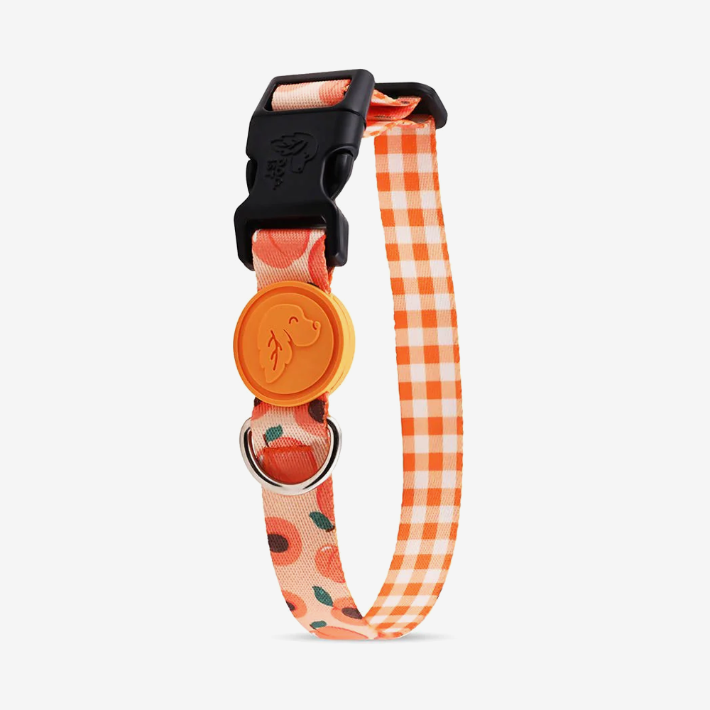 Vibrant collection of dog collars available in our online pet shop. Premium designer dog collar, now in stock at our online store. Puppy Collar