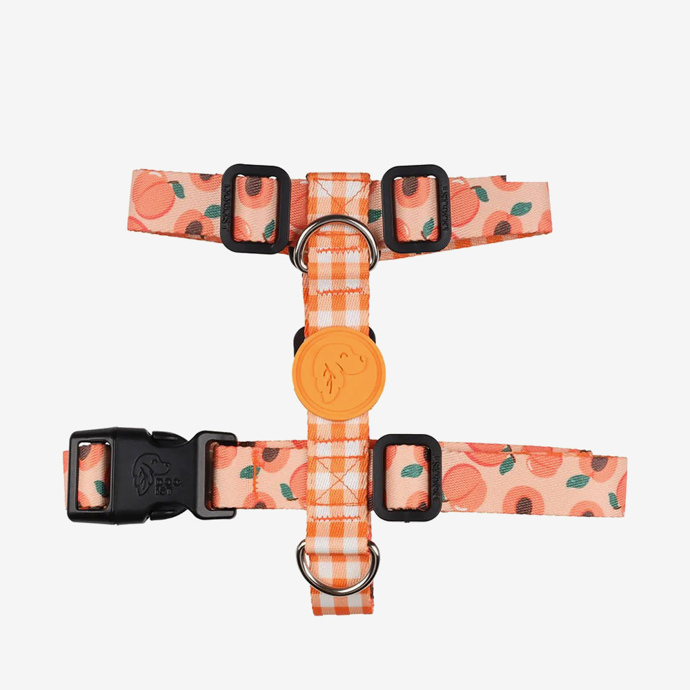 Perfect fit adjustable dog harness for training Labradors Durable, perfect fit leather dog harness designed for English Bulldogs, Cocker Spaniels, for active Border Collies,Terrier dog harness ensuring perfect control and fit, Colorful perfect fit dog harnesses for Jack Russell Terrier, French Bulldogs, for German Shepherds. Easy to use, step-in perfect fit dog harness for Boxer dogs. Premium perfect fit dog harness designed for the comfort of Golden Retrievers