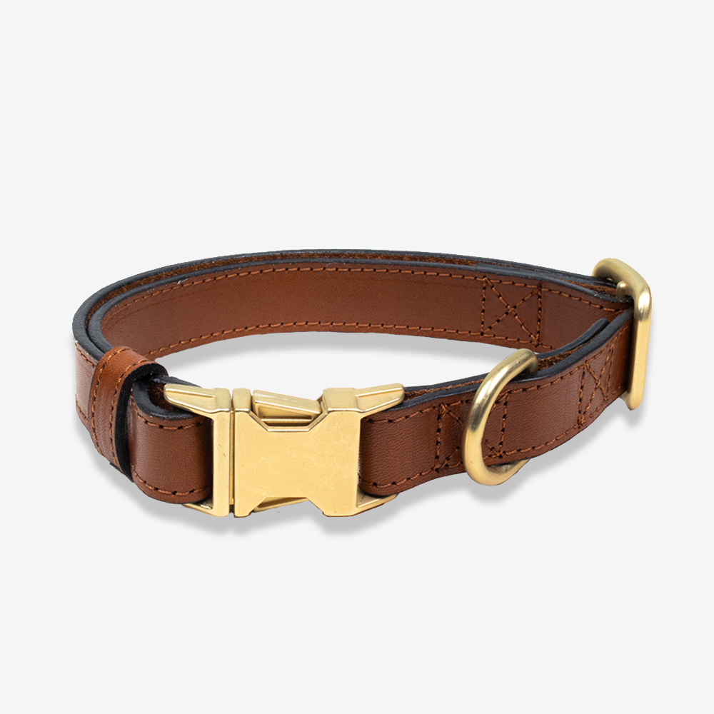 Pet collars deals online