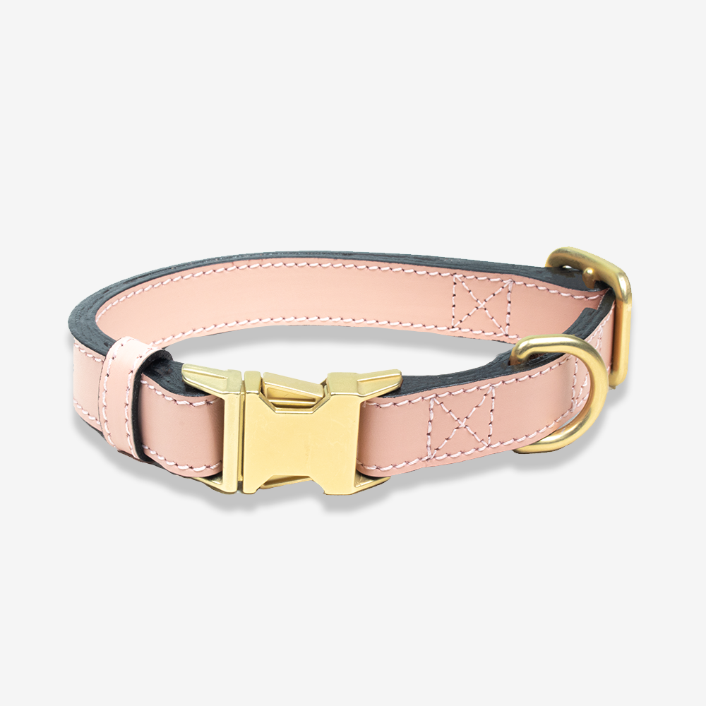 Leather Dog Collar Royal Pink Markedcorner