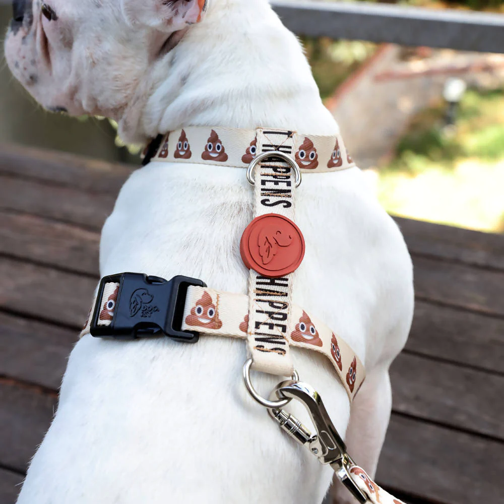 Perfect fit adjustable dog harness for training Labradors Durable, perfect fit leather dog harness designed for English Bulldogs, Cocker Spaniels, for active Border Collies,Terrier dog harness ensuring perfect control and fit, Colorful perfect fit dog harnesses for Jack Russell Terrier, French Bulldogs, for German Shepherds. Easy to use, step-in perfect fit dog harness for Boxer dogs. Premium perfect fit dog harness designed for the comfort of Golden Retrievers