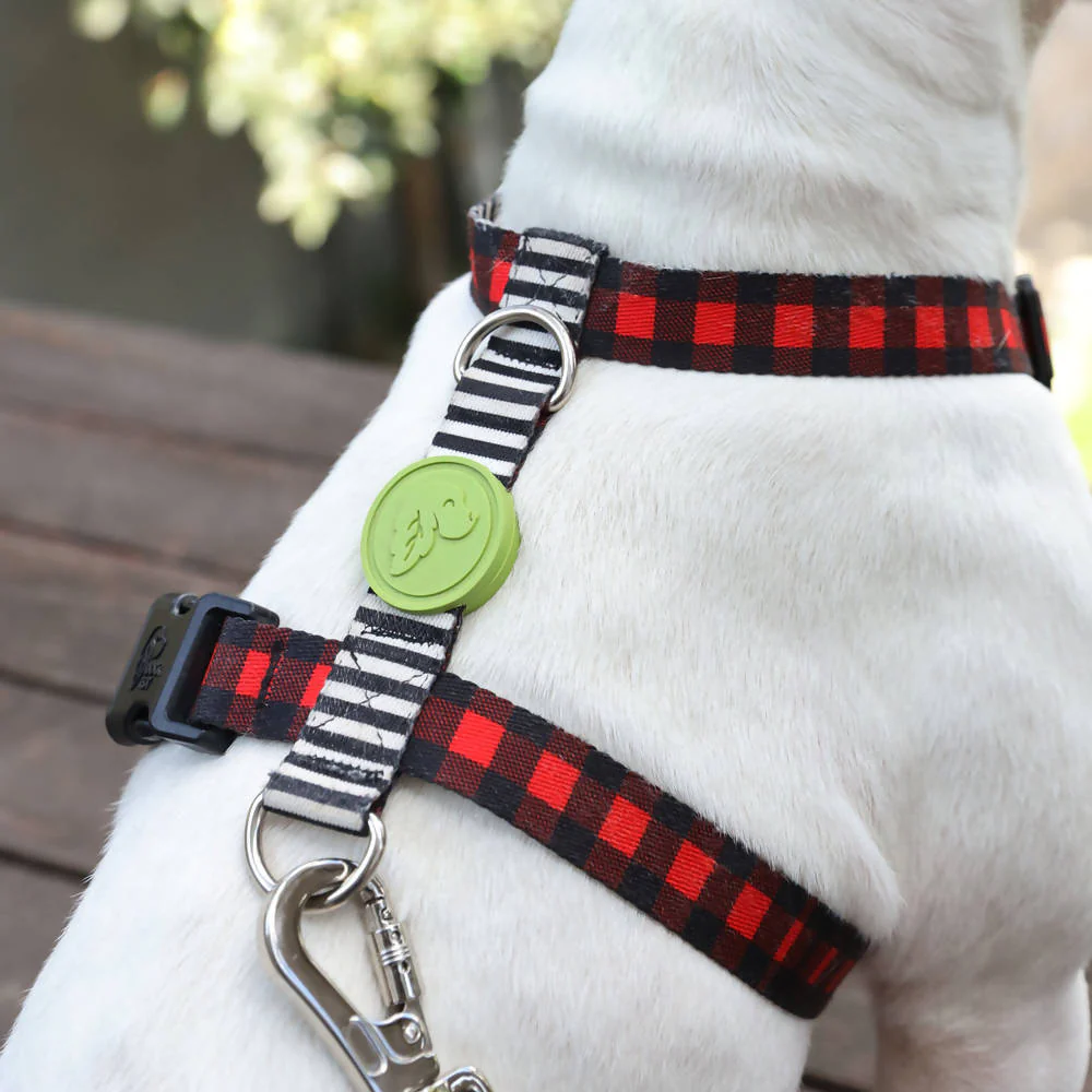 Perfect fit adjustable dog harness for training Labradors Durable, perfect fit leather dog harness designed for English Bulldogs, Cocker Spaniels, for active Border Collies,Terrier dog harness ensuring perfect control and fit, Colorful perfect fit dog harnesses for Jack Russell Terrier, French Bulldogs, for German Shepherds. Easy to use, step-in perfect fit dog harness for Boxer dogs. Premium perfect fit dog harness designed for the comfort of Golden Retrievers