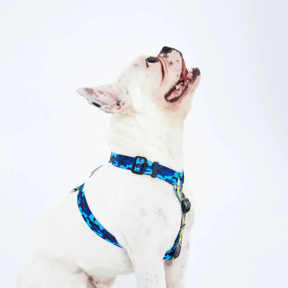 Perfect fit adjustable dog harness for training Labradors Durable, perfect fit leather dog harness designed for English Bulldogs, Cocker Spaniels, for active Border Collies,Terrier dog harness ensuring perfect control and fit, Colorful perfect fit dog harnesses for Jack Russell Terrier, French Bulldogs, for German Shepherds. Easy to use, step-in perfect fit dog harness for Boxer dogs. Premium perfect fit dog harness designed for the comfort of Golden Retrievers