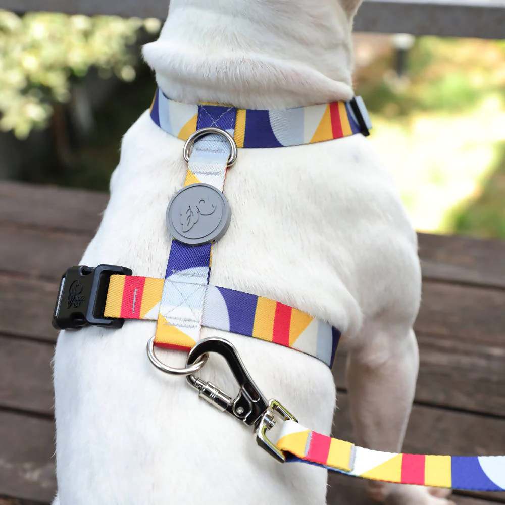 Perfect fit adjustable dog harness for training Labradors Durable, perfect fit leather dog harness designed for English Bulldogs, Cocker Spaniels, for active Border Collies,Terrier dog harness ensuring perfect control and fit, Colorful perfect fit dog harnesses for Jack Russell Terrier, French Bulldogs, for German Shepherds. Easy to use, step-in perfect fit dog harness for Boxer dogs. Premium perfect fit dog harness designed for the comfort of Golden Retrievers