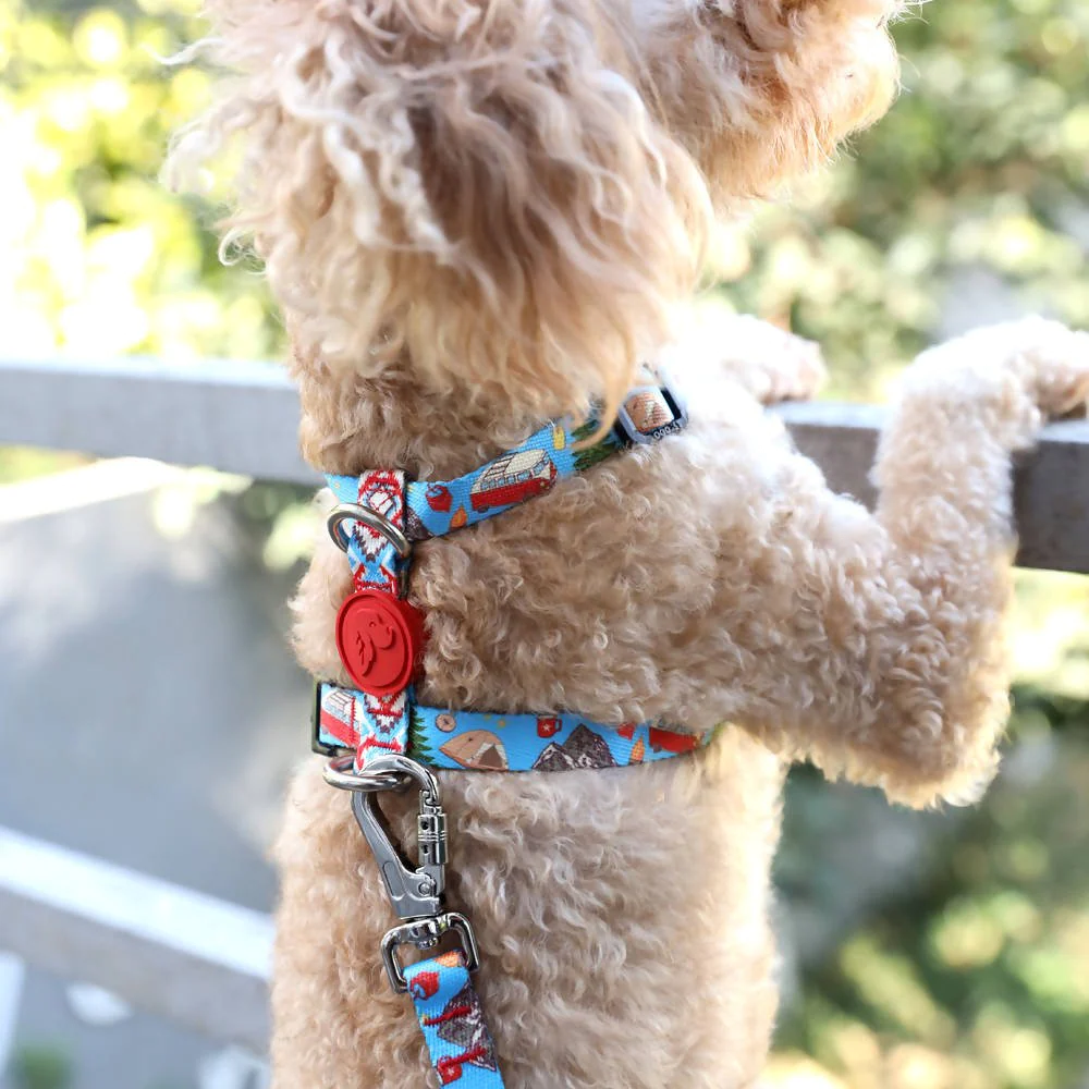 Perfect fit adjustable dog harness for training Labradors Durable, perfect fit leather dog harness designed for English Bulldogs, Cocker Spaniels, for active Border Collies,Terrier dog harness ensuring perfect control and fit, Colorful perfect fit dog harnesses for Jack Russell Terrier, French Bulldogs, for German Shepherds. Easy to use, step-in perfect fit dog harness for Boxer dogs. Premium perfect fit dog harness designed for the comfort of Golden Retrievers