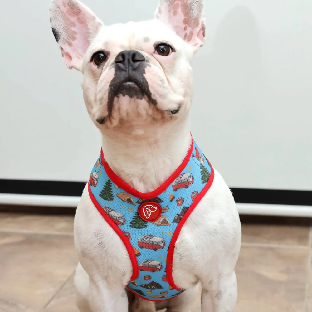 Perfect fit adjustable dog harness for training Labradors Durable, perfect fit leather dog harness designed for English Bulldogs, Cocker Spaniels, for active Border Collies,Terrier dog harness ensuring perfect control and fit, Colorful perfect fit dog harnesses for Jack Russell Terrier, French Bulldogs, for German Shepherds. Easy to use, step-in perfect fit dog harness for Boxer dogs. Premium perfect fit dog harness designed for the comfort of Golden Retrievers