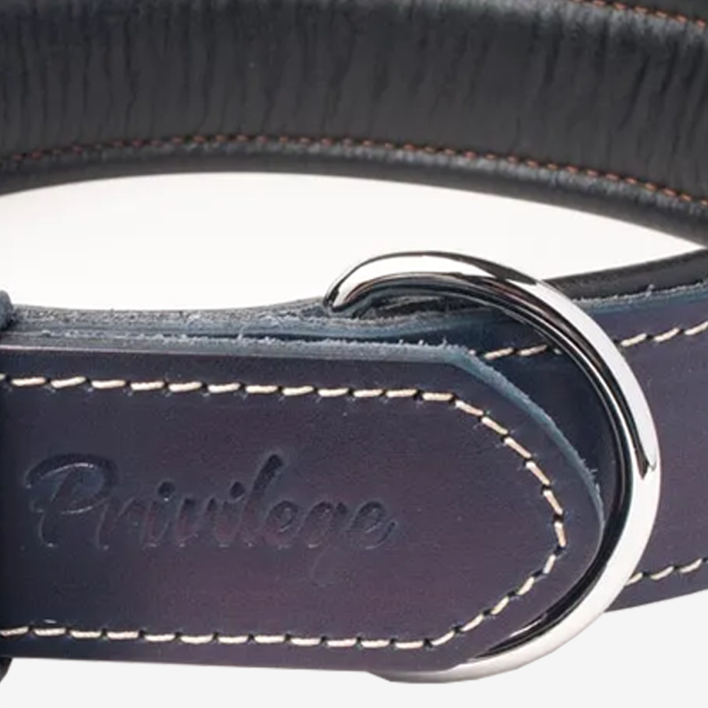 Vibrant collection of dog collars available in our online pet shop. Premium designer dog collar, now in stock at our online store. Puppy Collar. Leather collar.