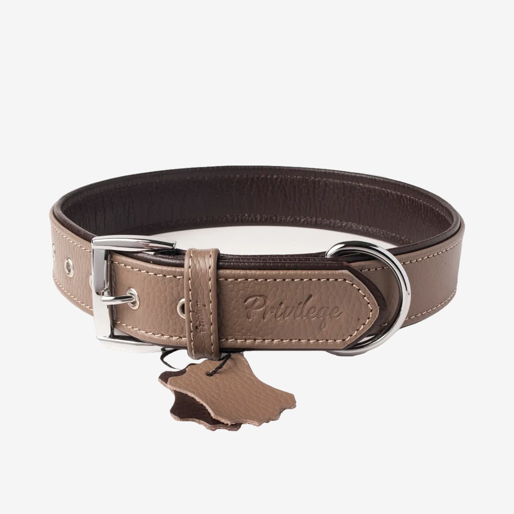 Floater Leather Dog Collar Light Brown