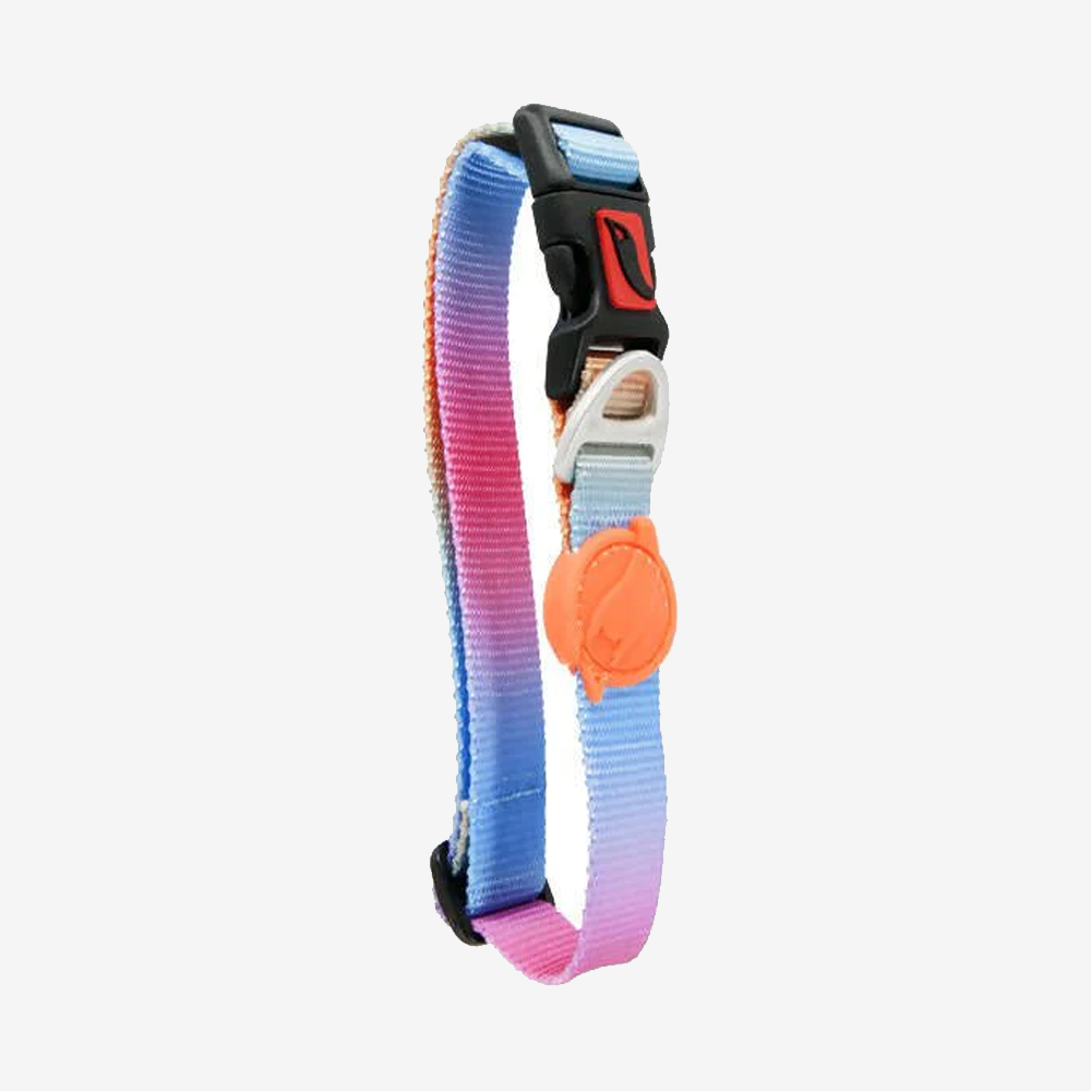 Vibrant collection of dog collars available in our online pet shop. Premium designer dog collar, now in stock at our online store. Puppy Collar