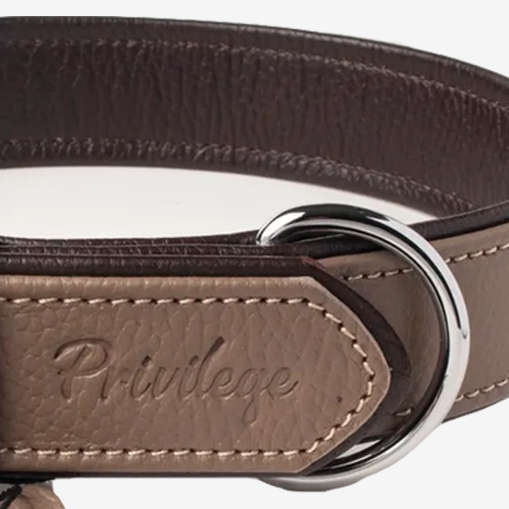 Vibrant collection of dog collars available in our online pet shop. Premium designer dog collar, now in stock at our online store. Puppy Collar. Leather collar.