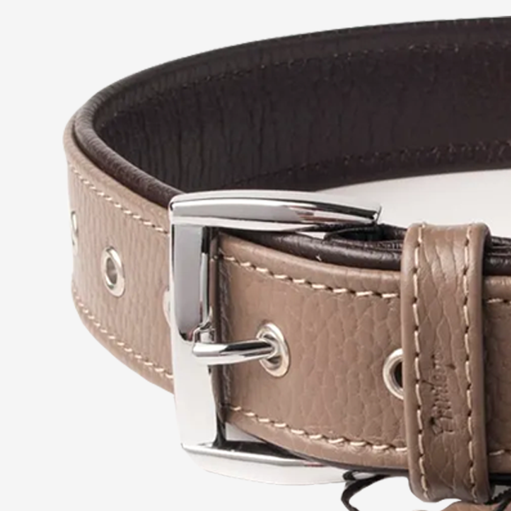 Vibrant collection of dog collars available in our online pet shop. Premium designer dog collar, now in stock at our online store. Puppy Collar. Leather collar.