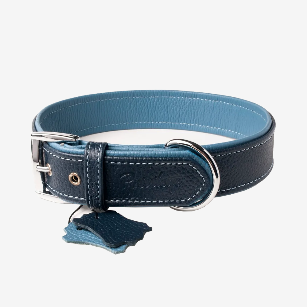 Vibrant collection of dog collars available in our online pet shop. Premium designer dog collar, now in stock at our online store. Puppy Collar. Leather collar.