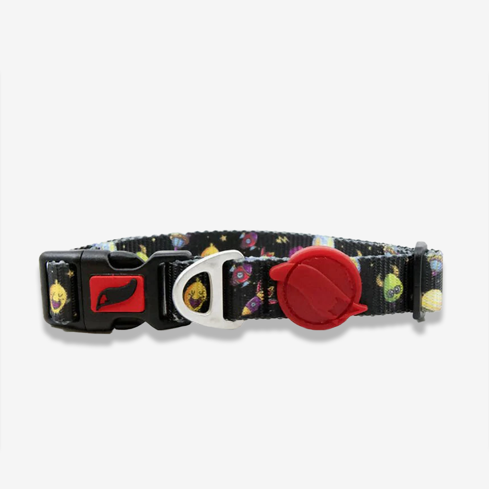 Vibrant collection of dog collars available in our online pet shop. Premium designer dog collar, now in stock at our online store. Puppy collar. Dog Collar.