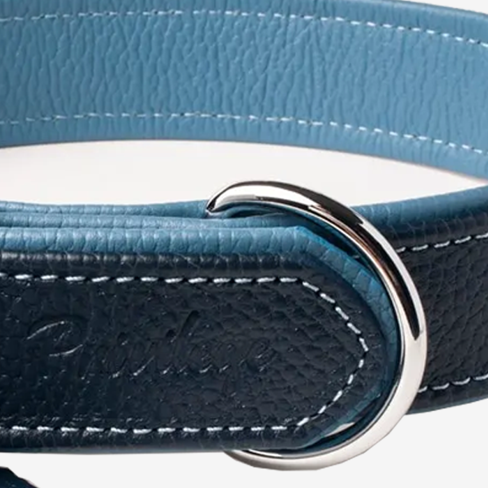Vibrant collection of dog collars available in our online pet shop. Premium designer dog collar, now in stock at our online store. Puppy Collar. Leather collar.