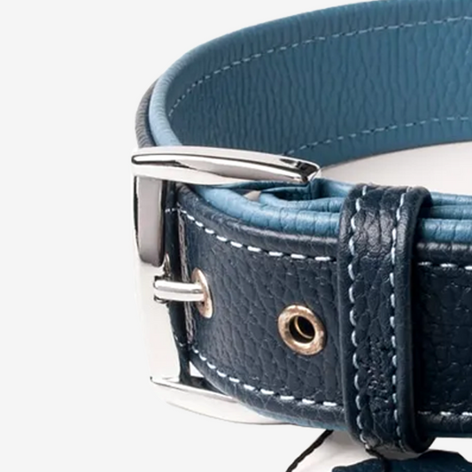 Vibrant collection of dog collars available in our online pet shop. Premium designer dog collar, now in stock at our online store. Puppy Collar. Leather collar.