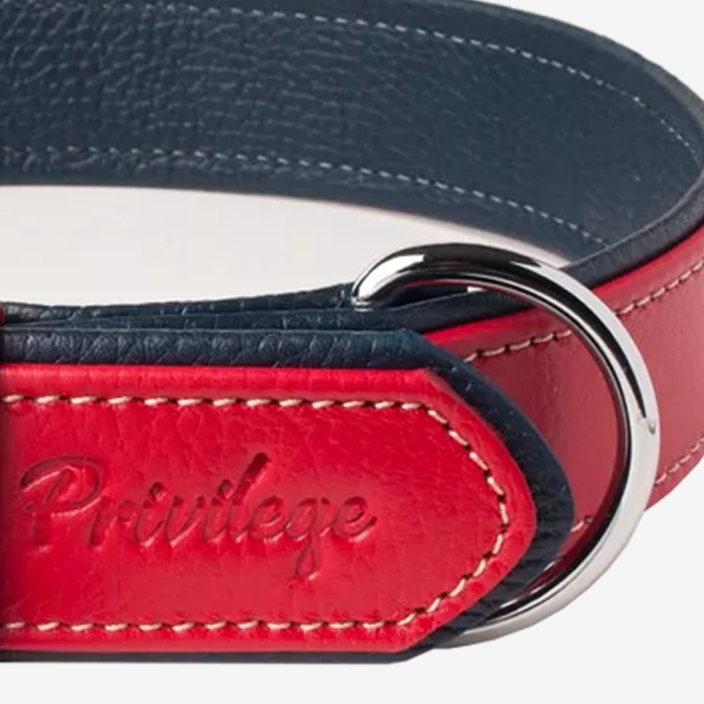 Vibrant collection of dog collars available in our online pet shop. Premium designer dog collar, now in stock at our online store. Puppy Collar. Leather collar.