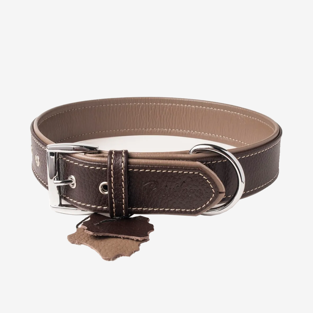 Vibrant collection of dog collars available in our online pet shop. Premium designer dog collar, now in stock at our online store. Puppy Collar. Leather collar.
