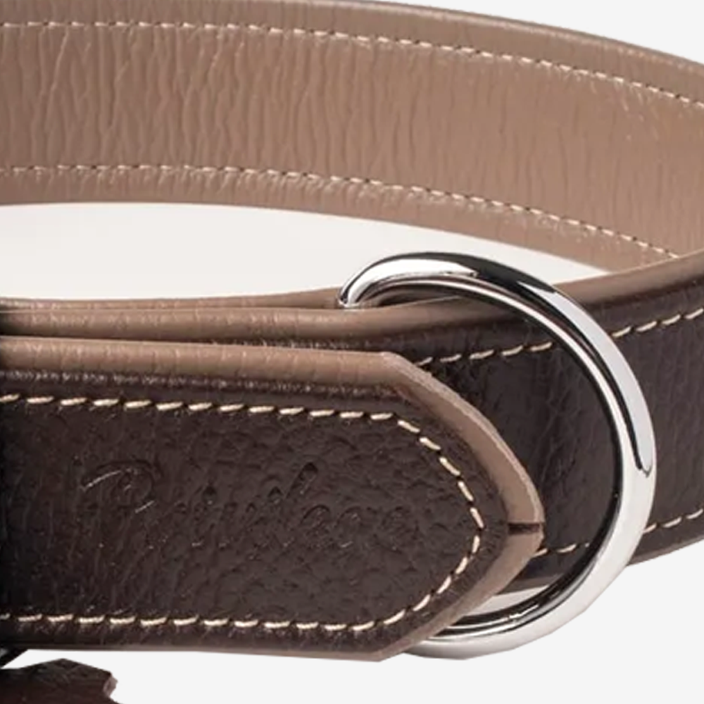 Vibrant collection of dog collars available in our online pet shop. Premium designer dog collar, now in stock at our online store. Puppy Collar. Leather collar.