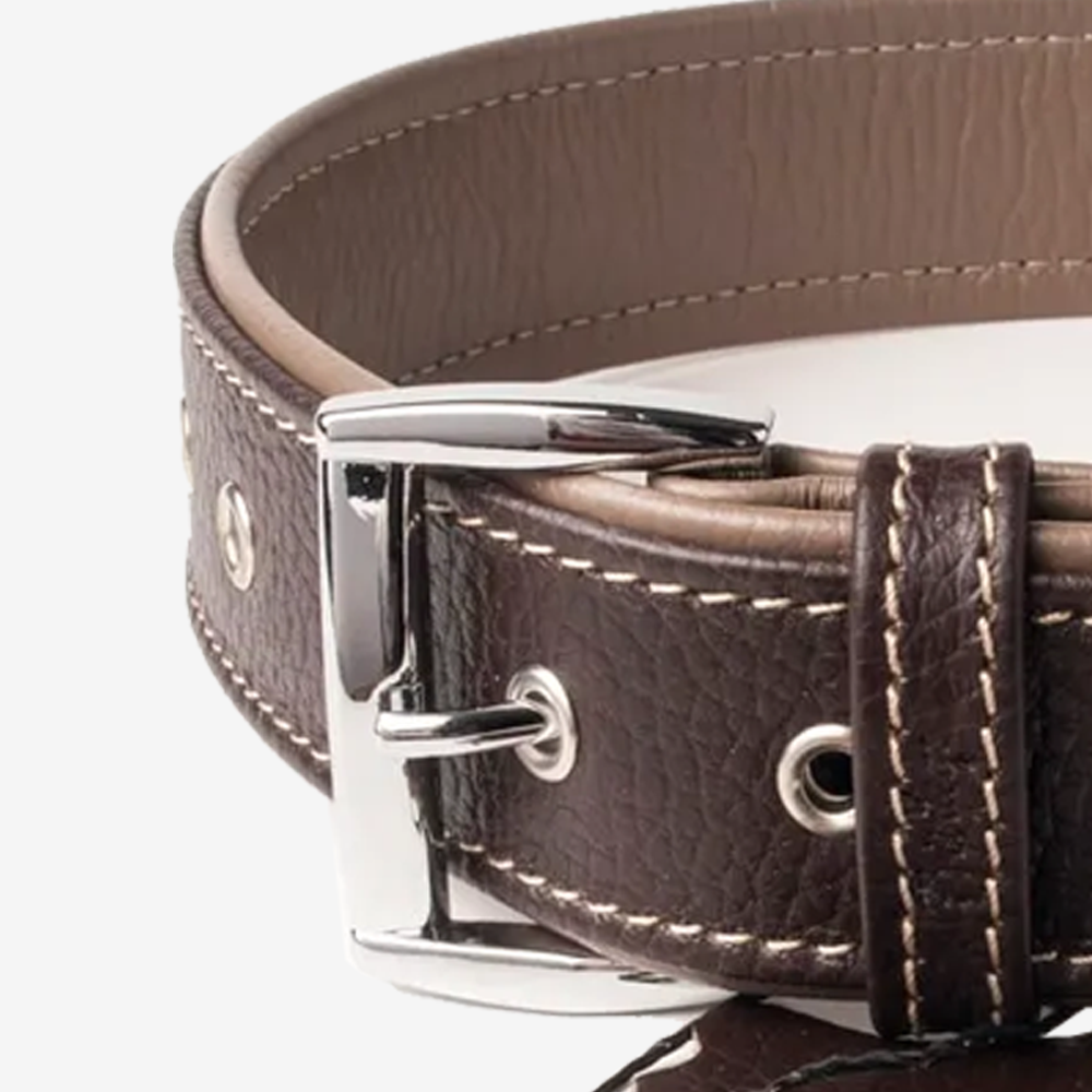 Vibrant collection of dog collars available in our online pet shop. Premium designer dog collar, now in stock at our online store. Puppy Collar. Leather collar.