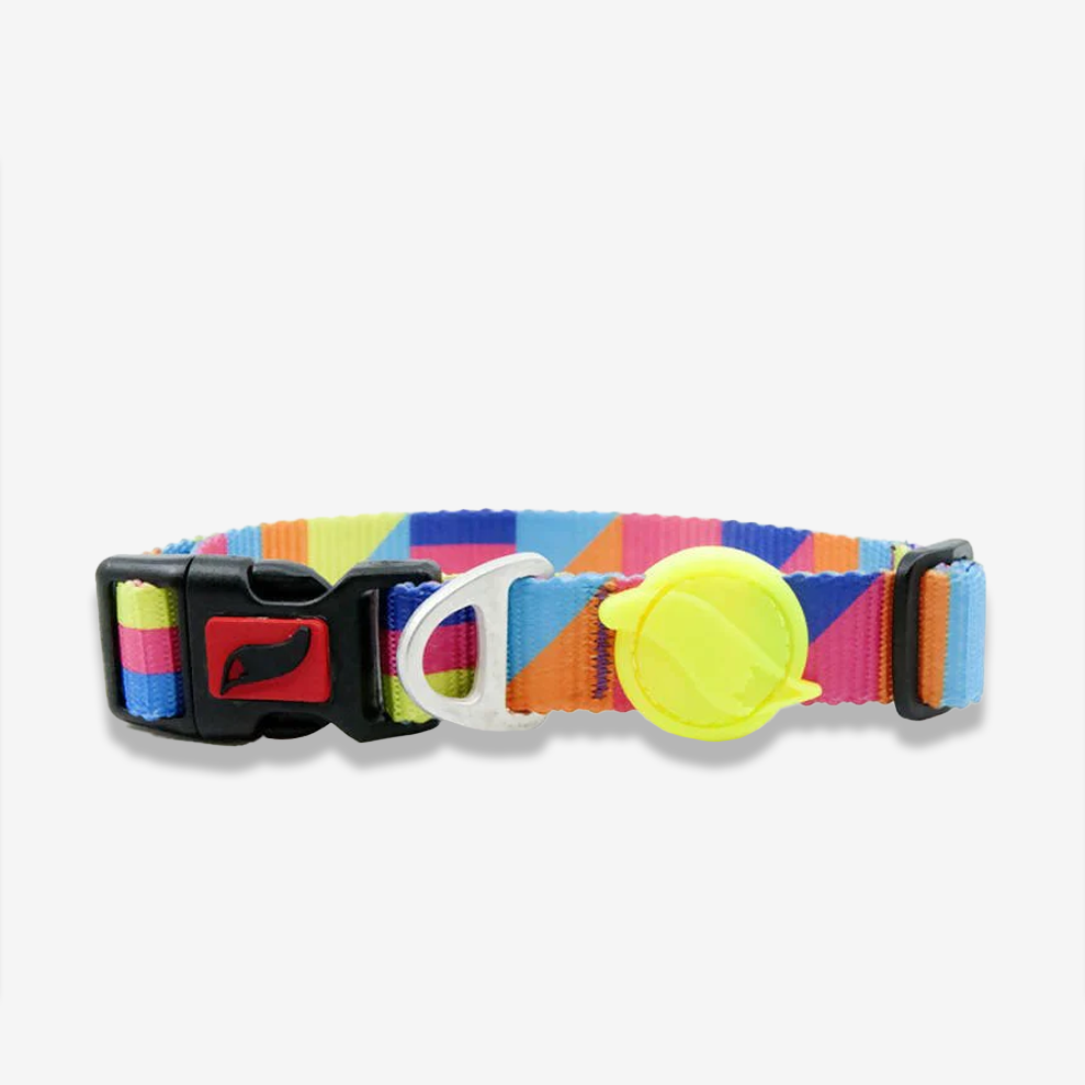 Vibrant collection of dog collars available in our online pet shop. Premium designer dog collar, now in stock at our online store. Puppy collar. Dog Collar.