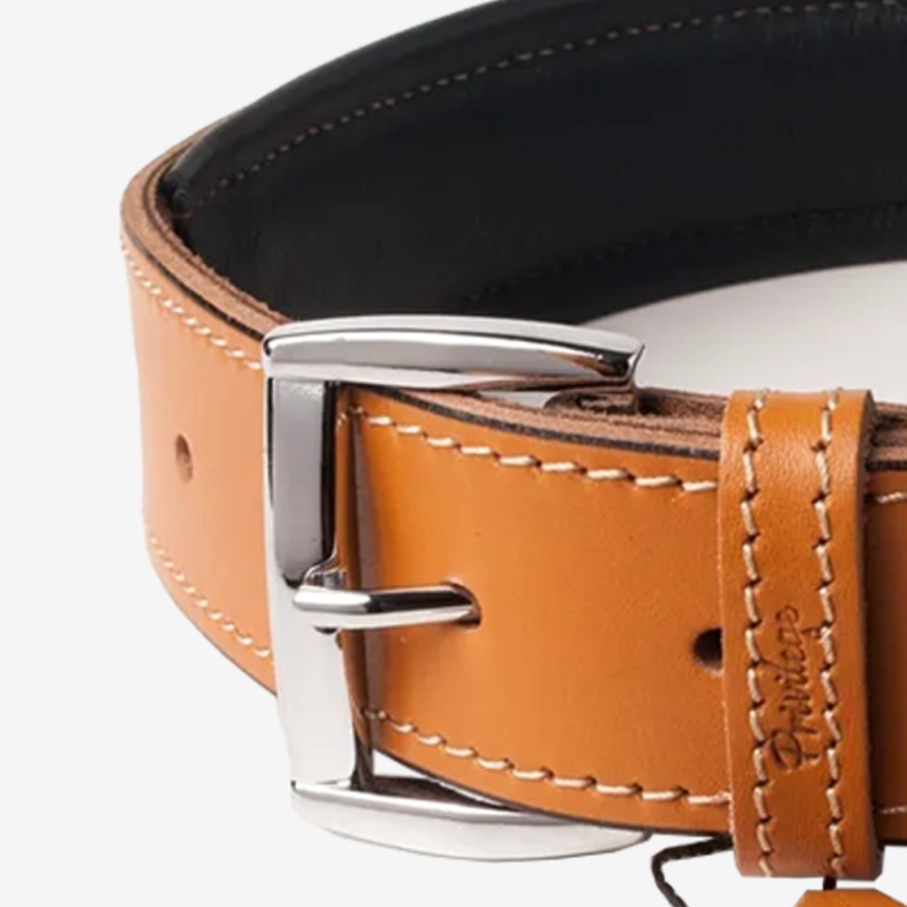 Vibrant collection of dog collars available in our online pet shop. Premium designer dog collar, now in stock at our online store. Puppy Collar. Leather collar.