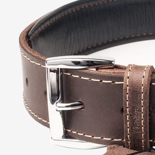 Vibrant collection of dog collars available in our online pet shop. Premium designer dog collar, now in stock at our online store. Puppy Collar. Leather collar.