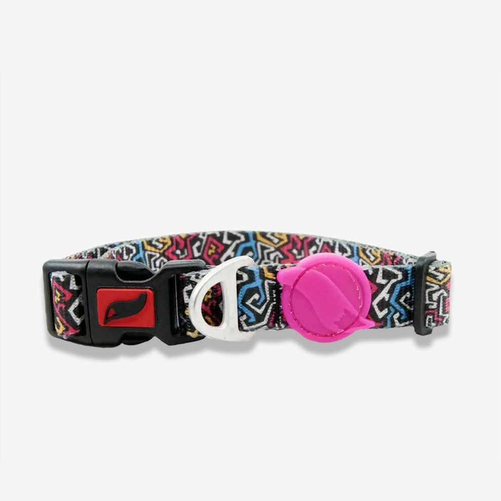 Vibrant collection of dog collars available in our online pet shop. Premium designer dog collar, now in stock at our online store. Puppy Collar. Leather collar.