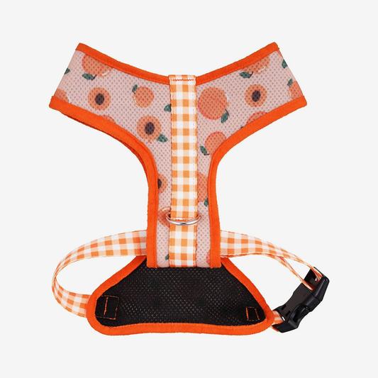 Perfect fit adjustable dog harness for training Labradors Durable, perfect fit leather dog harness designed for English Bulldogs, Cocker Spaniels, for active Border Collies,Terrier dog harness ensuring perfect control and fit, Colorful perfect fit dog harnesses for Jack Russell Terrier, French Bulldogs, for German Shepherds. Easy to use, step-in perfect fit dog harness for Boxer dogs. Premium perfect fit dog harness designed for the comfort of Golden Retrievers