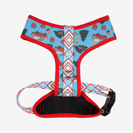 Perfect fit adjustable dog harness for training Labradors Durable, perfect fit leather dog harness designed for English Bulldogs, Cocker Spaniels, for active Border Collies,Terrier dog harness ensuring perfect control and fit, Colorful perfect fit dog harnesses for Jack Russell Terrier, French Bulldogs, for German Shepherds. Easy to use, step-in perfect fit dog harness for Boxer dogs. Premium perfect fit dog harness designed for the comfort of Golden Retrievers
