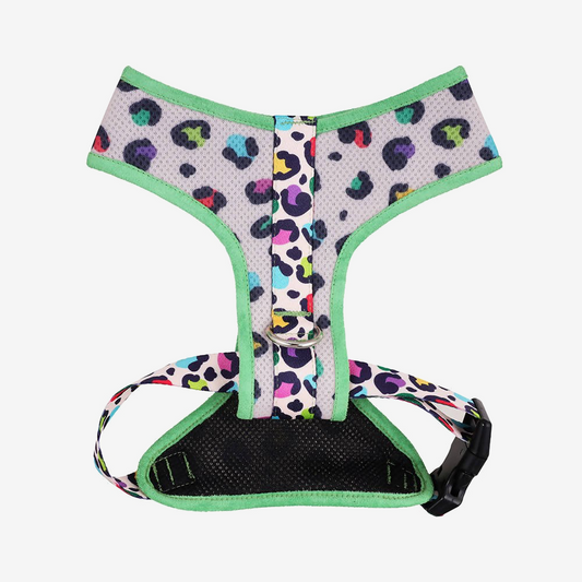 Perfect fit adjustable dog harness for training Labradors Durable, perfect fit leather dog harness designed for English Bulldogs, Cocker Spaniels, for active Border Collies,Terrier dog harness ensuring perfect control and fit, Colorful perfect fit dog harnesses for Jack Russell Terrier, French Bulldogs, for German Shepherds. Easy to use, step-in perfect fit dog harness for Boxer dogs. Premium perfect fit dog harness designed for the comfort of Golden Retrievers