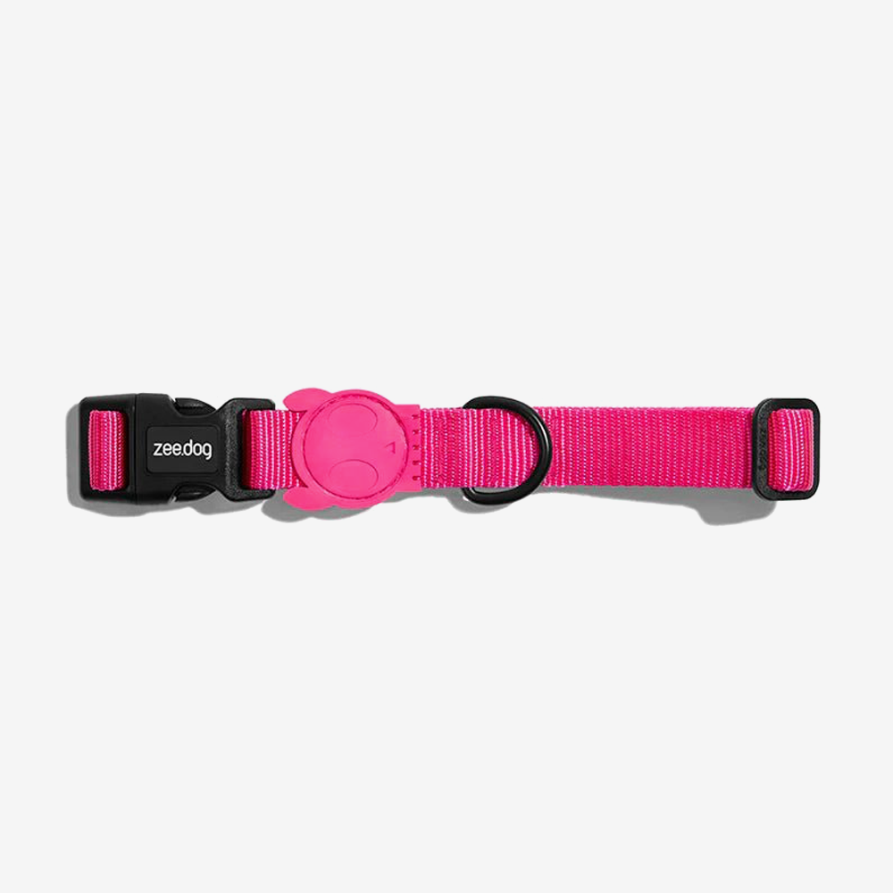 Pink led dog sales collar