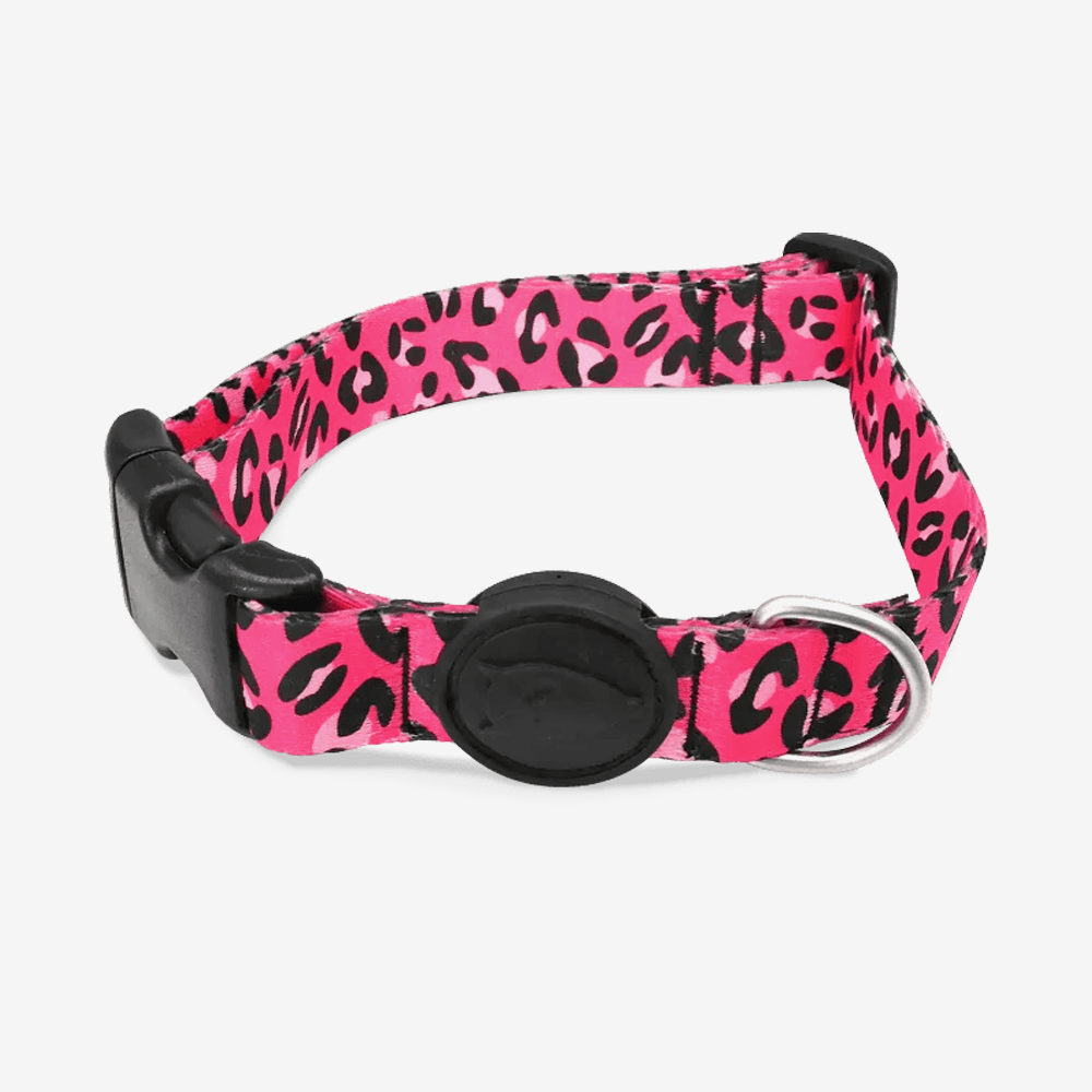Vibrant collection of dog collars available in our online pet shop. Premium designer dog collar, now in stock at our online store. Puppy Collar.