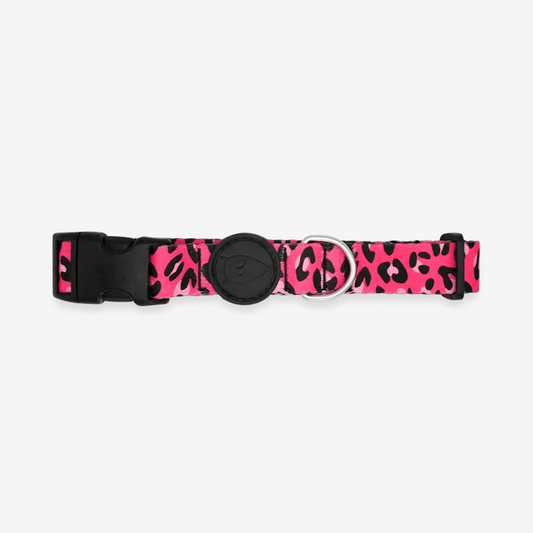 Vibrant collection of dog collars available in our online pet shop. Premium designer dog collar, now in stock at our online store. Puppy Collar.