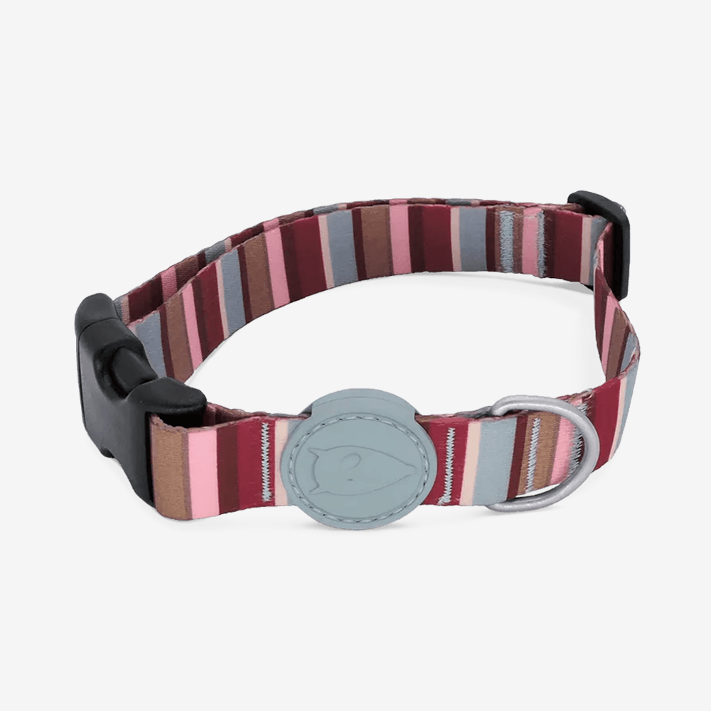 Dog collars outlet online