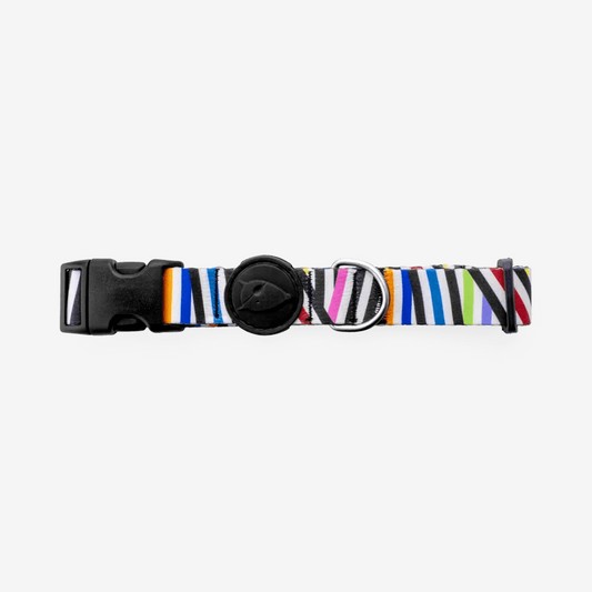 Vibrant collection of dog collars available in our online pet shop. Premium designer dog collar, now in stock at our online store. Puppy collar. Dog Collar.