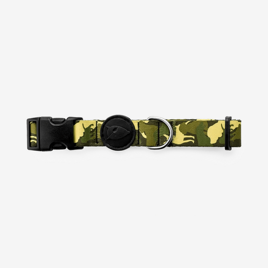 Vibrant collection of dog collars available in our online pet shop. Premium designer dog collar, now in stock at our online store. Puppy Collar. Leather collar.