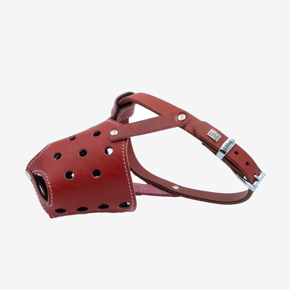 Short Nosed Leather Dog Muzzle - Red