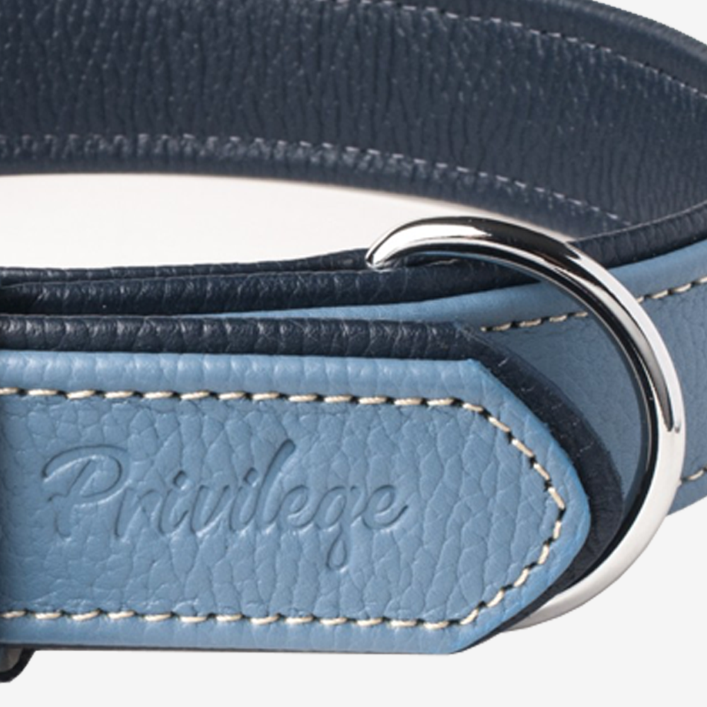 Vibrant collection of dog collars available in our online pet shop. Premium designer dog collar, now in stock at our online store. Puppy Collar. Leather collar.
