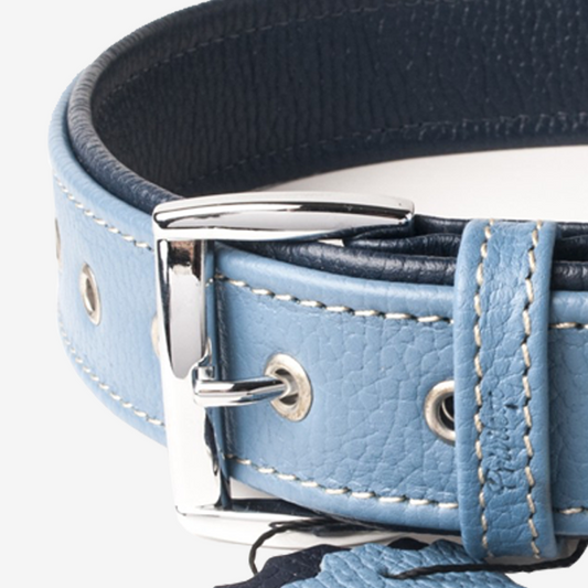 Vibrant collection of dog collars available in our online pet shop. Premium designer dog collar, now in stock at our online store. Puppy Collar. Leather collar.